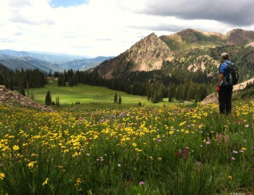 Vail Summer Activities
